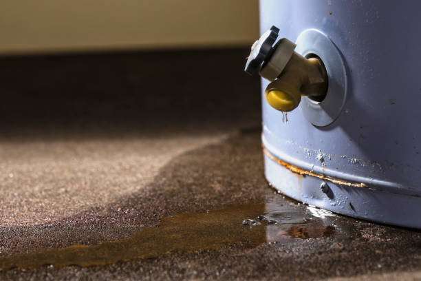 Best Ceiling water damage repair  in Plattsburg, MO