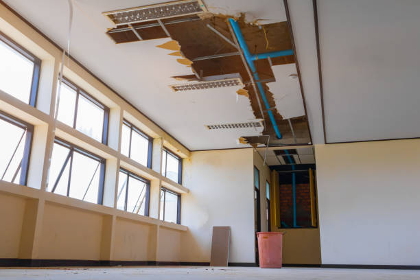 Best Ceiling water damage repair  in Plattsburg, MO