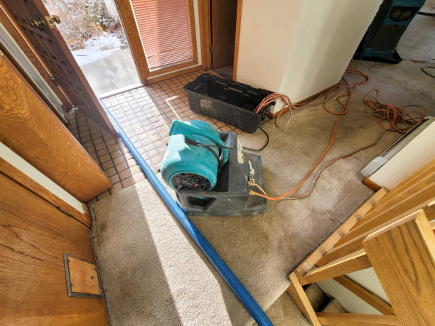 Best Water damage cleanup near me  in Plattsburg, MO