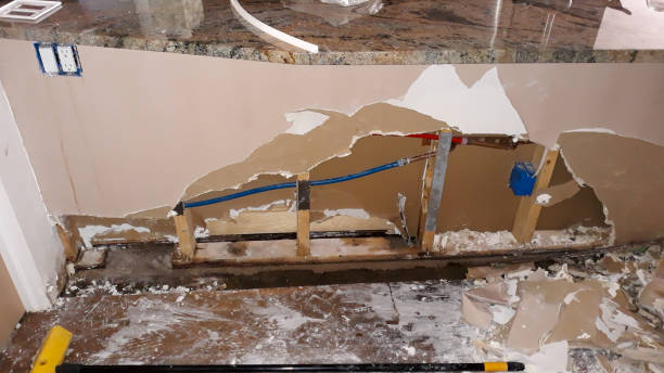 Best Water damage restoration services  in Plattsburg, MO