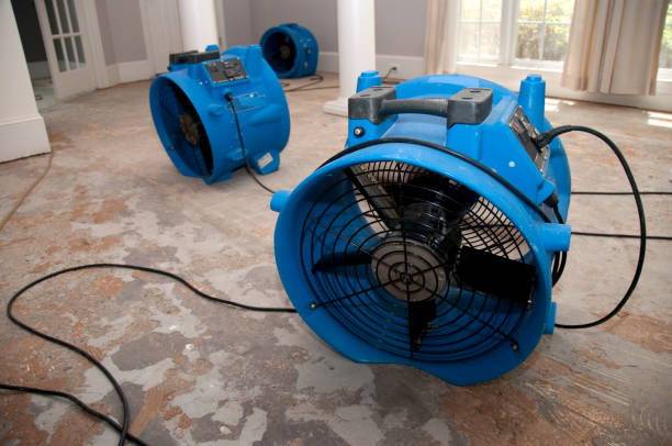 Professional Water damage restoration in Plattsburg, MO
