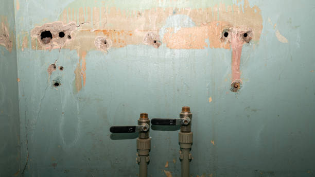 Best Professional water damage repair  in Plattsburg, MO