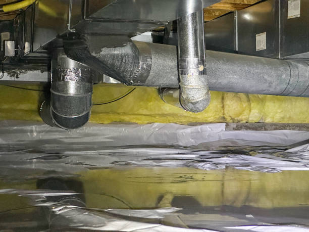 Best Mold removal after water damage  in Plattsburg, MO