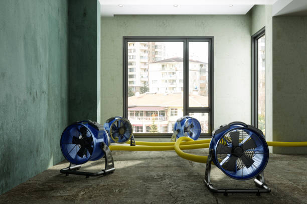 Best Water damage contractors near me  in Plattsburg, MO